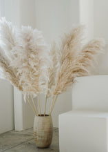 Load image into Gallery viewer, pampas grass (large bundle)