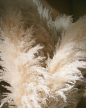 Load image into Gallery viewer, pampas grass (large bundle)